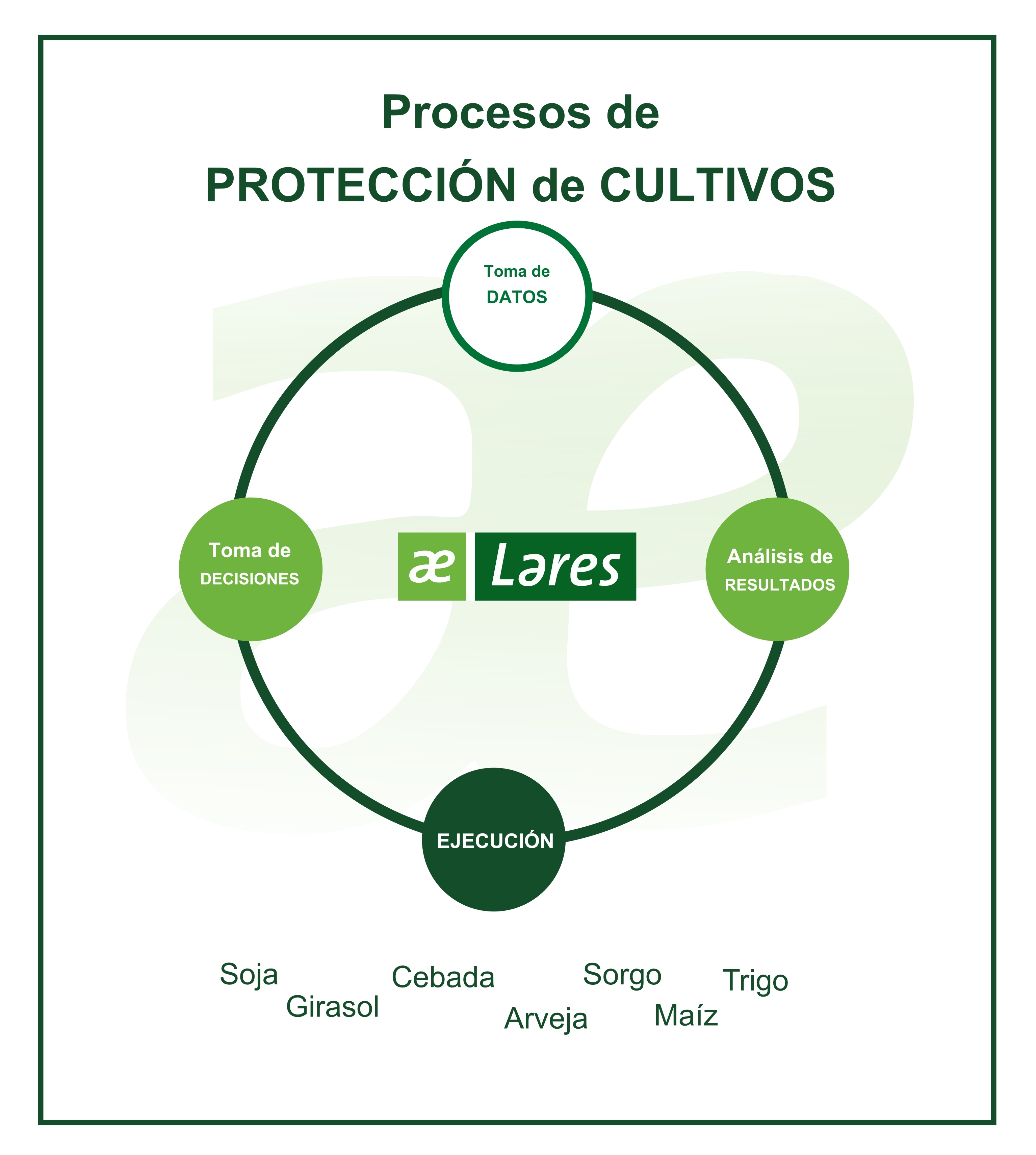 Grafico procesos de protección de cultivos